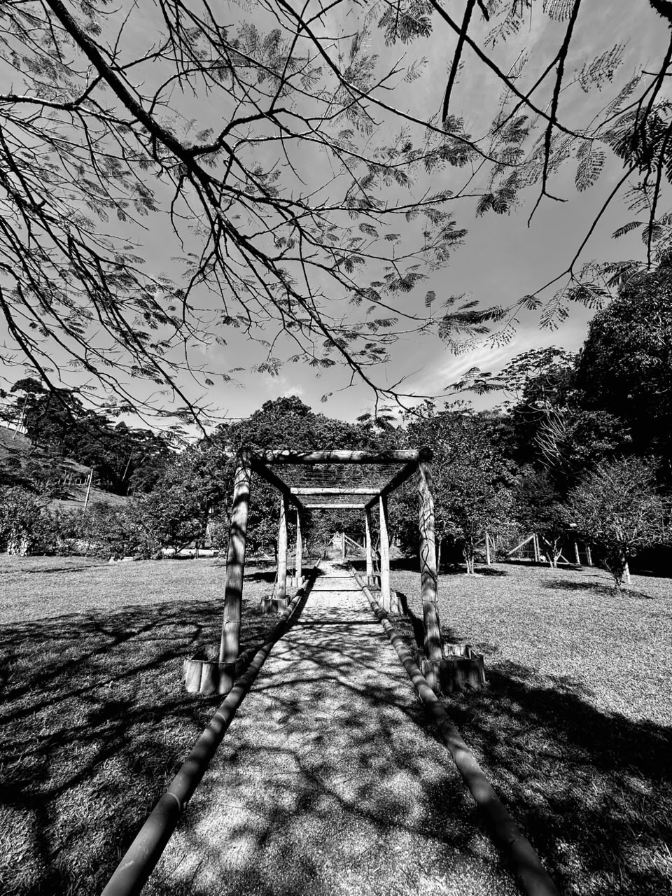 Caminho sob pérgola de madeira, entre árvores